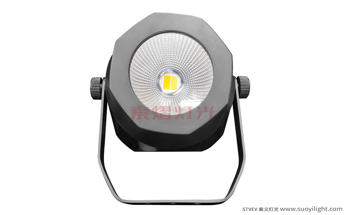 200W Waterproof COB Par Light